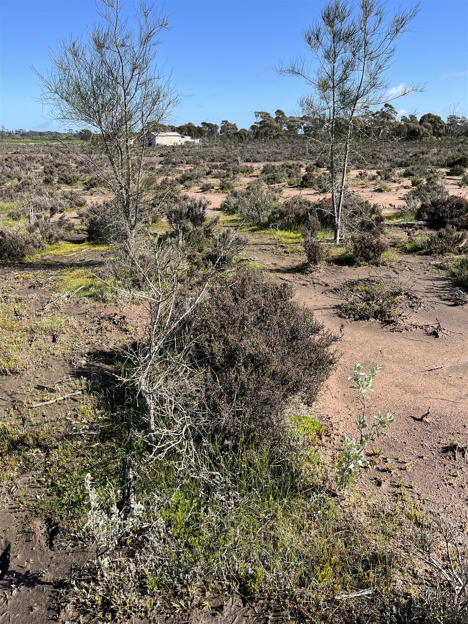 Unique Conservation Opportunity on the 9