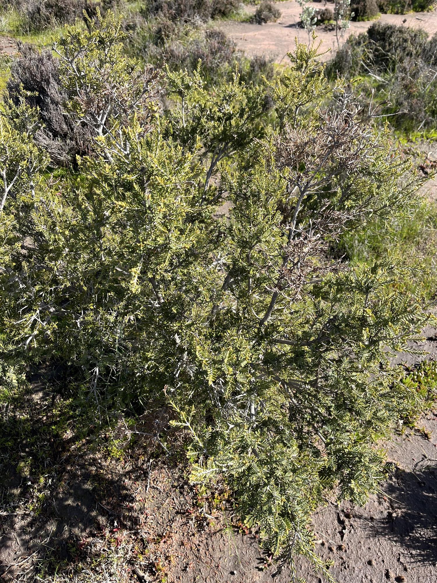 Unique Conservation Opportunity on the 10