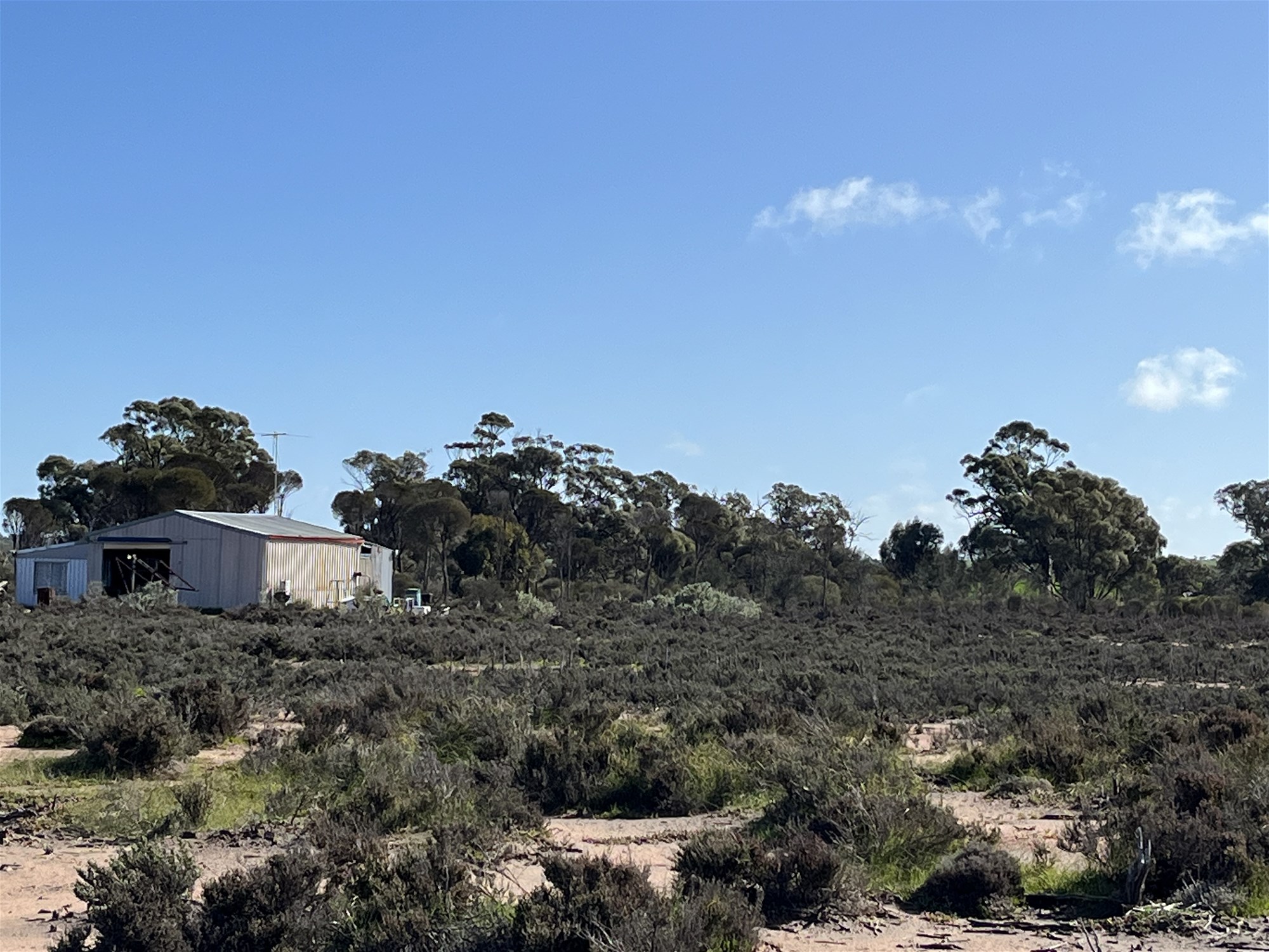 Unique Conservation Opportunity on the Coblinine River
