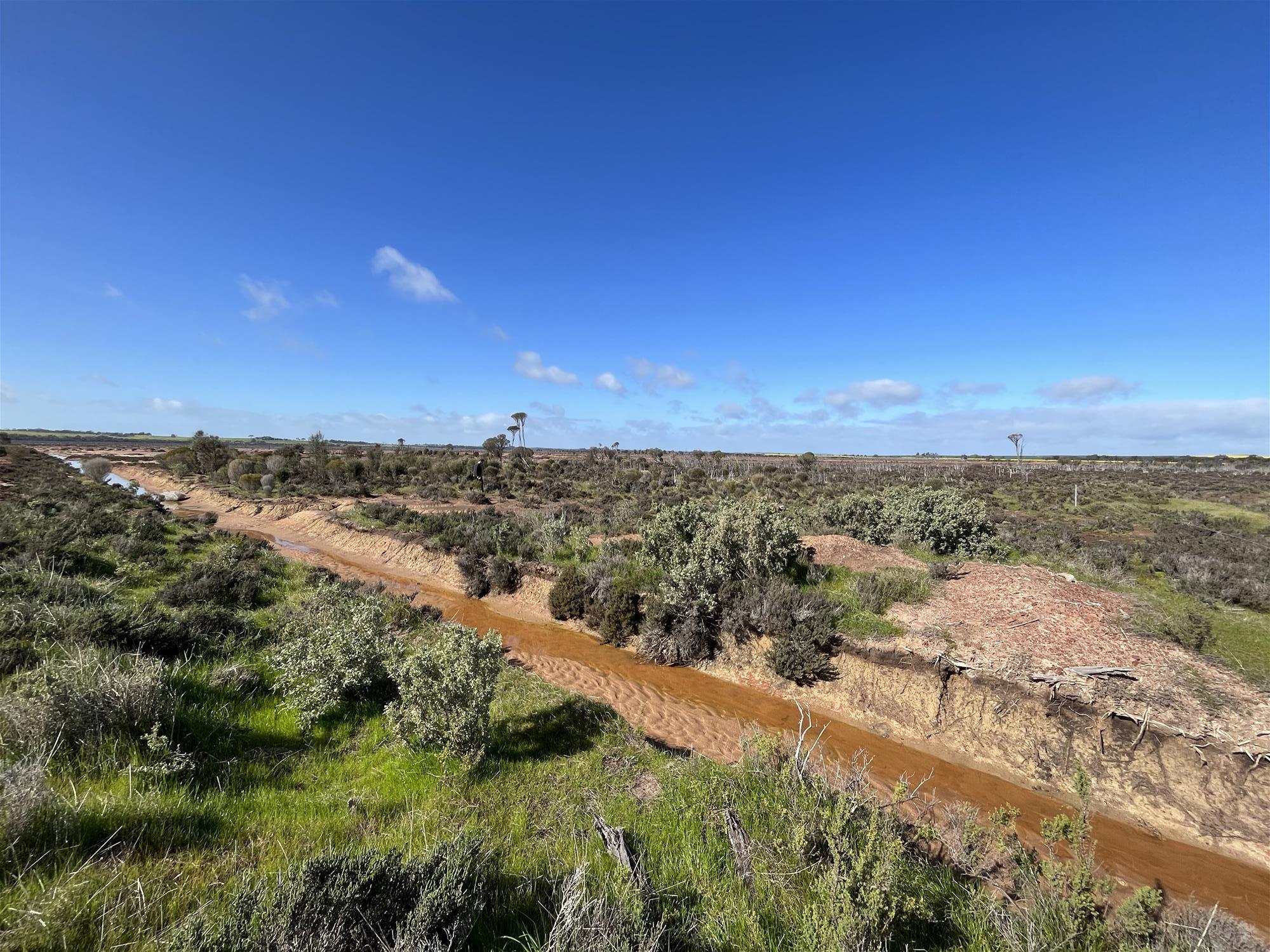 Unique Conservation Opportunity on the 6