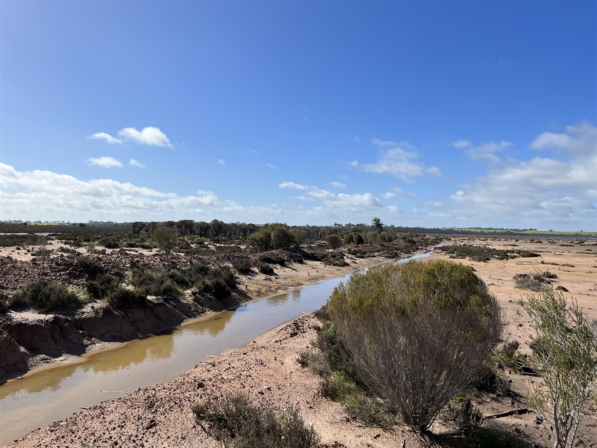 Unique Conservation Opportunity on the 7