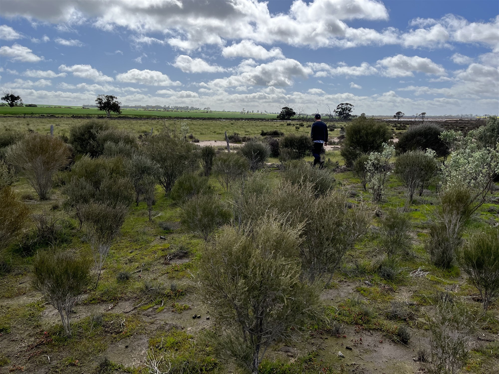 Unique Conservation Opportunity on the 15