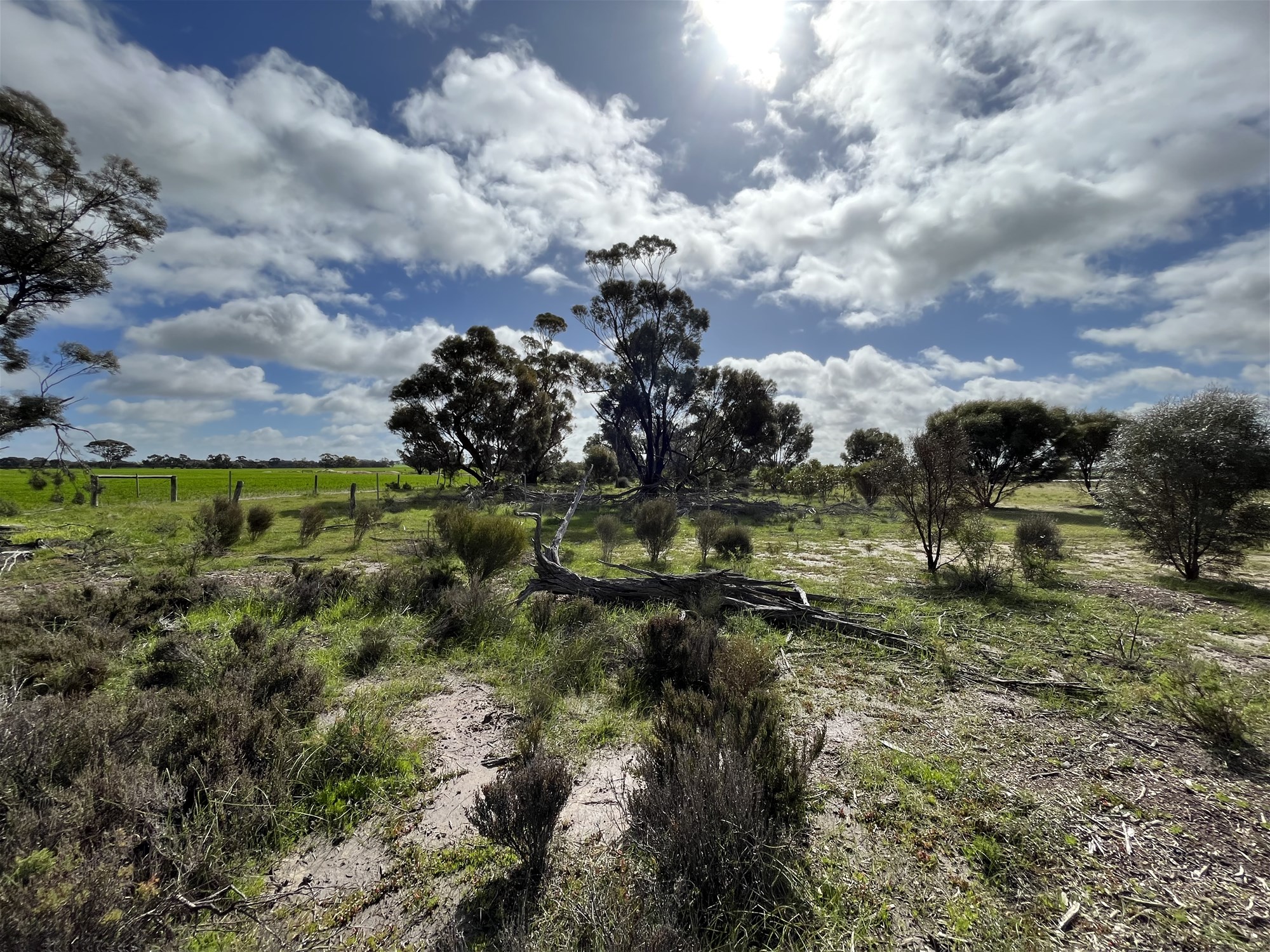 Unique Conservation Opportunity on the 16