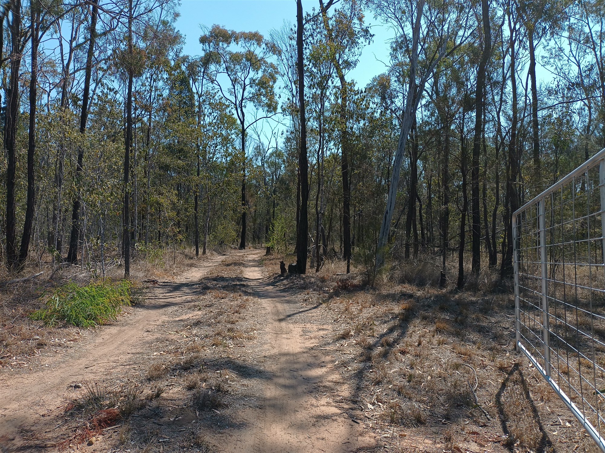 Escape to the heart of nature with 8 hectares in Millmerran Woods!