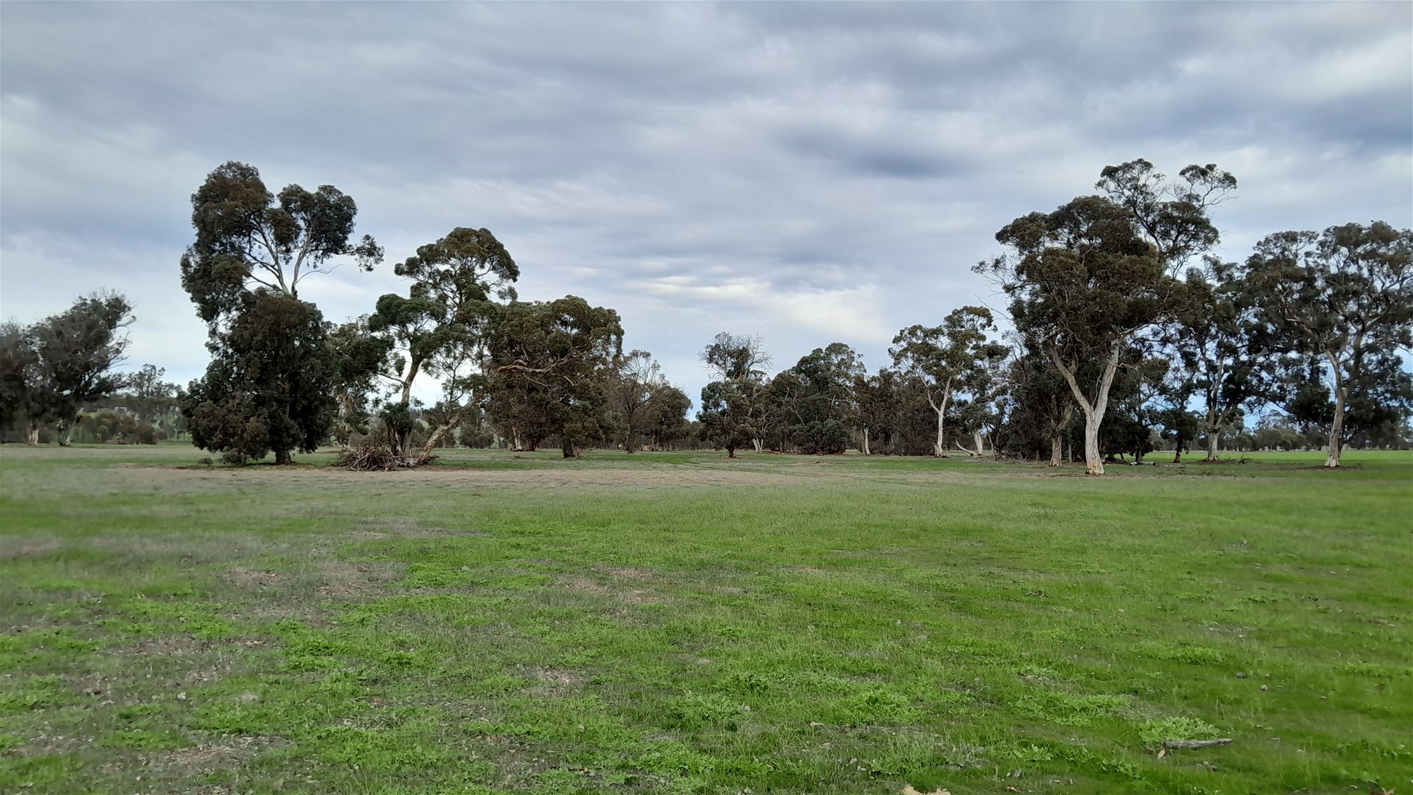 100 Acres Katanning 3