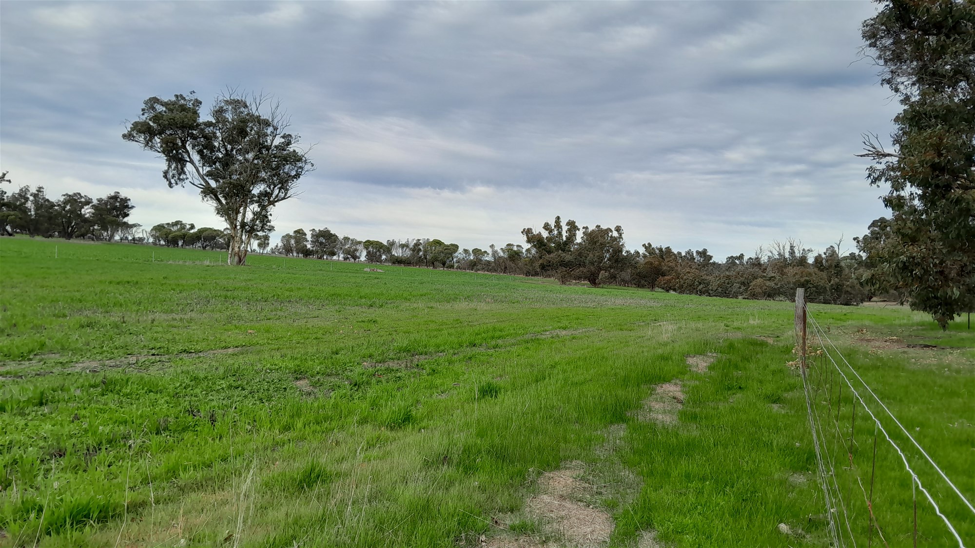 100 Acres Katanning 8