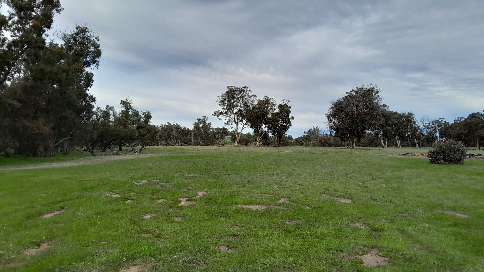 100 Acres Katanning 4