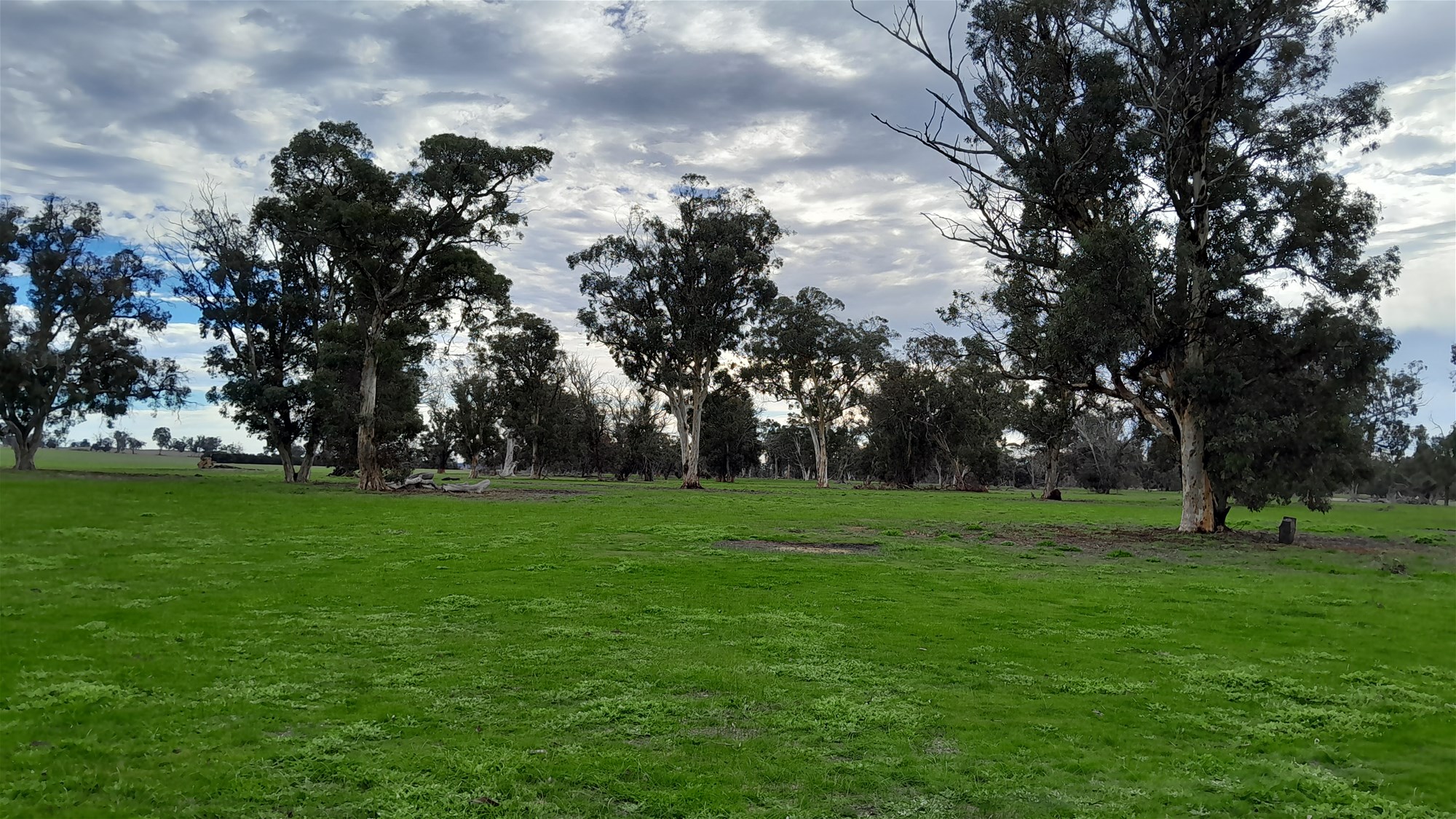 100 Acres Katanning 5