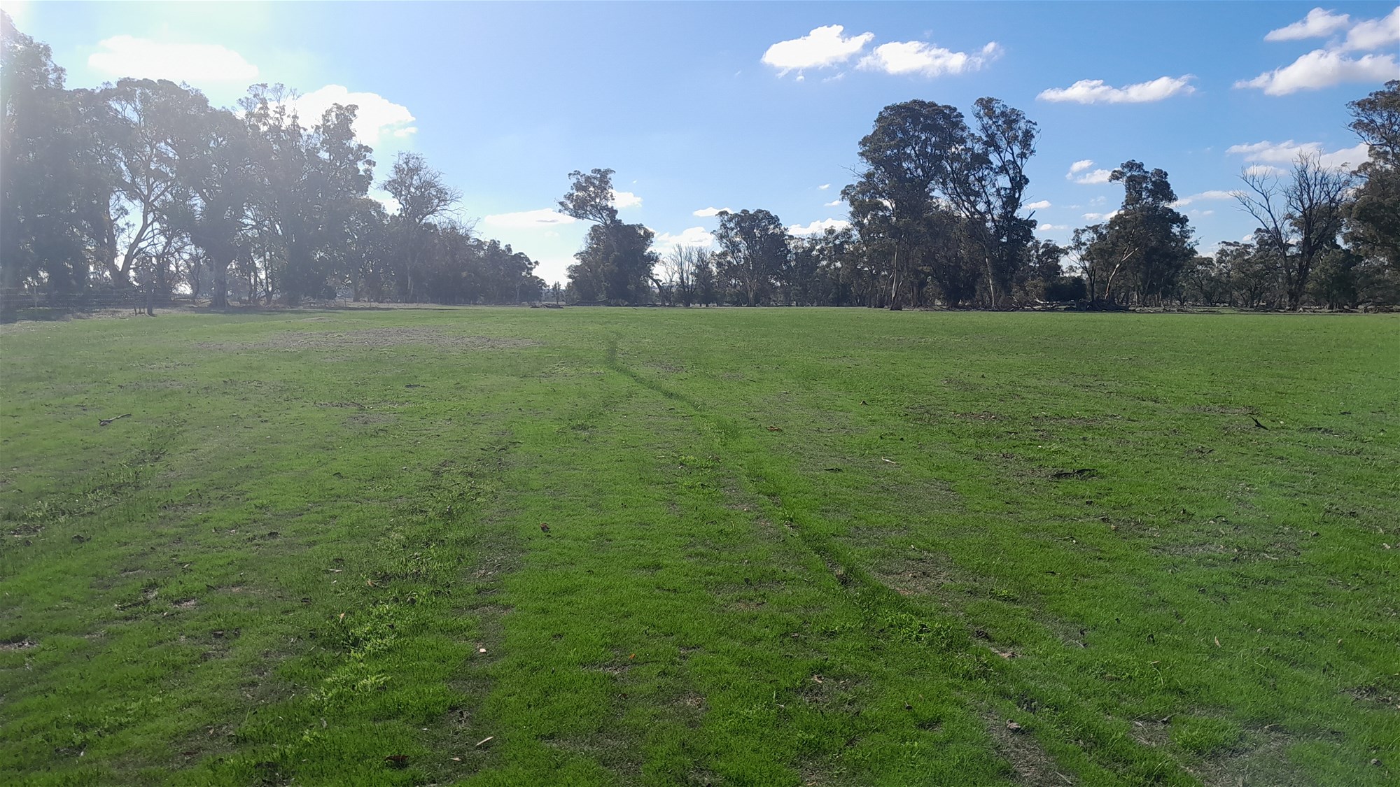 100 Acres Katanning 6