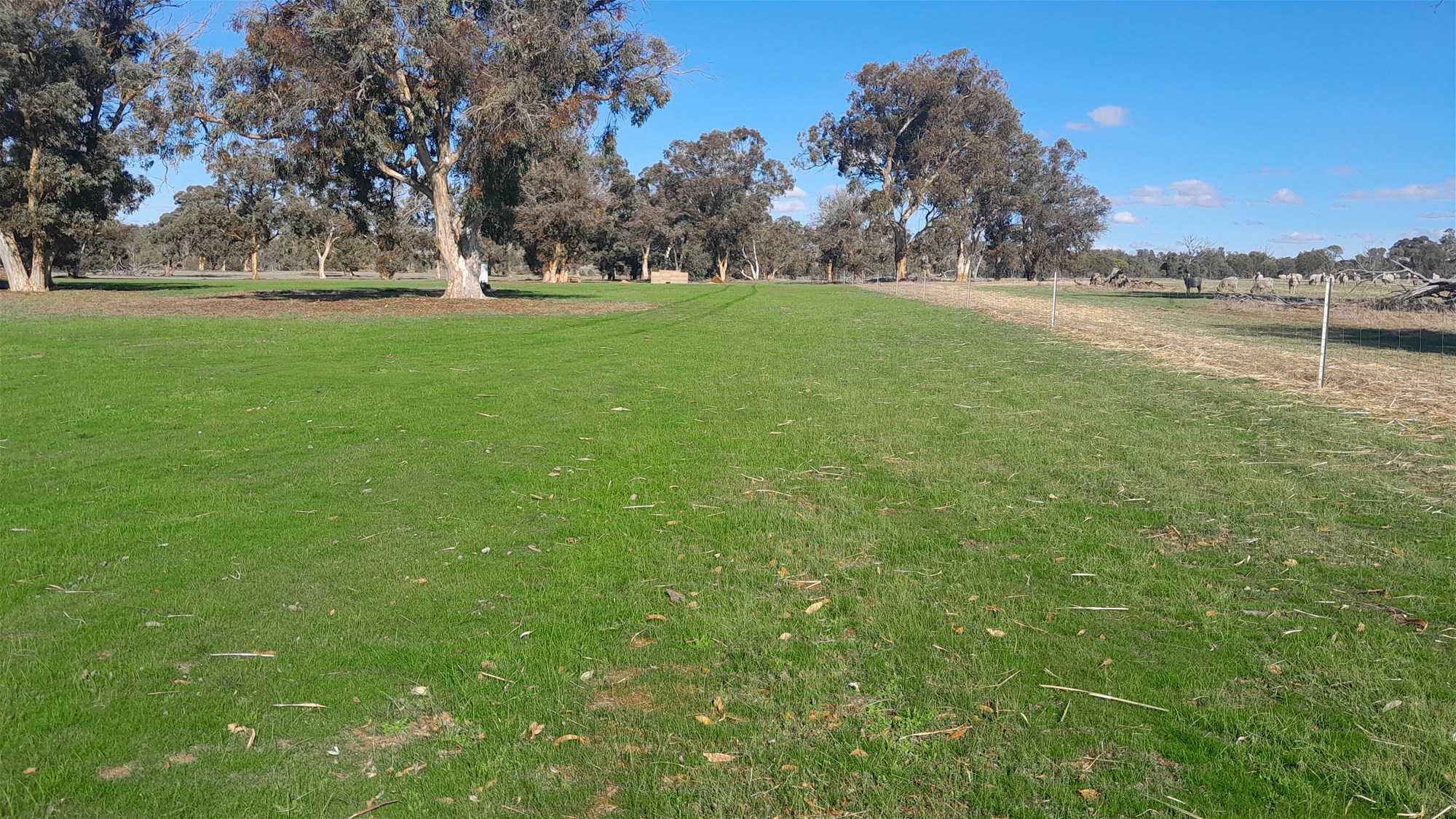100 Acres Katanning