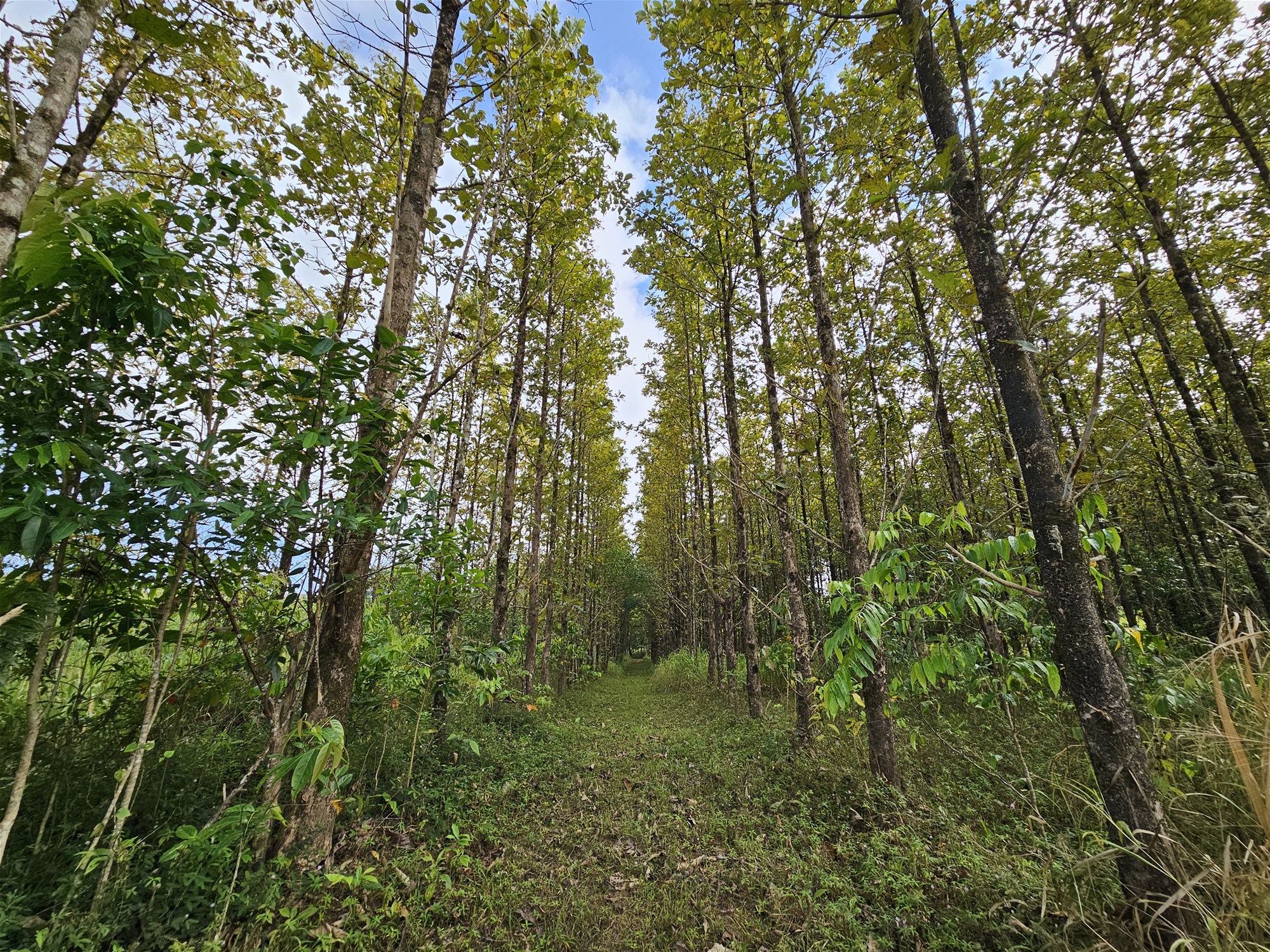 Exceptional Opportunity – Land with 4