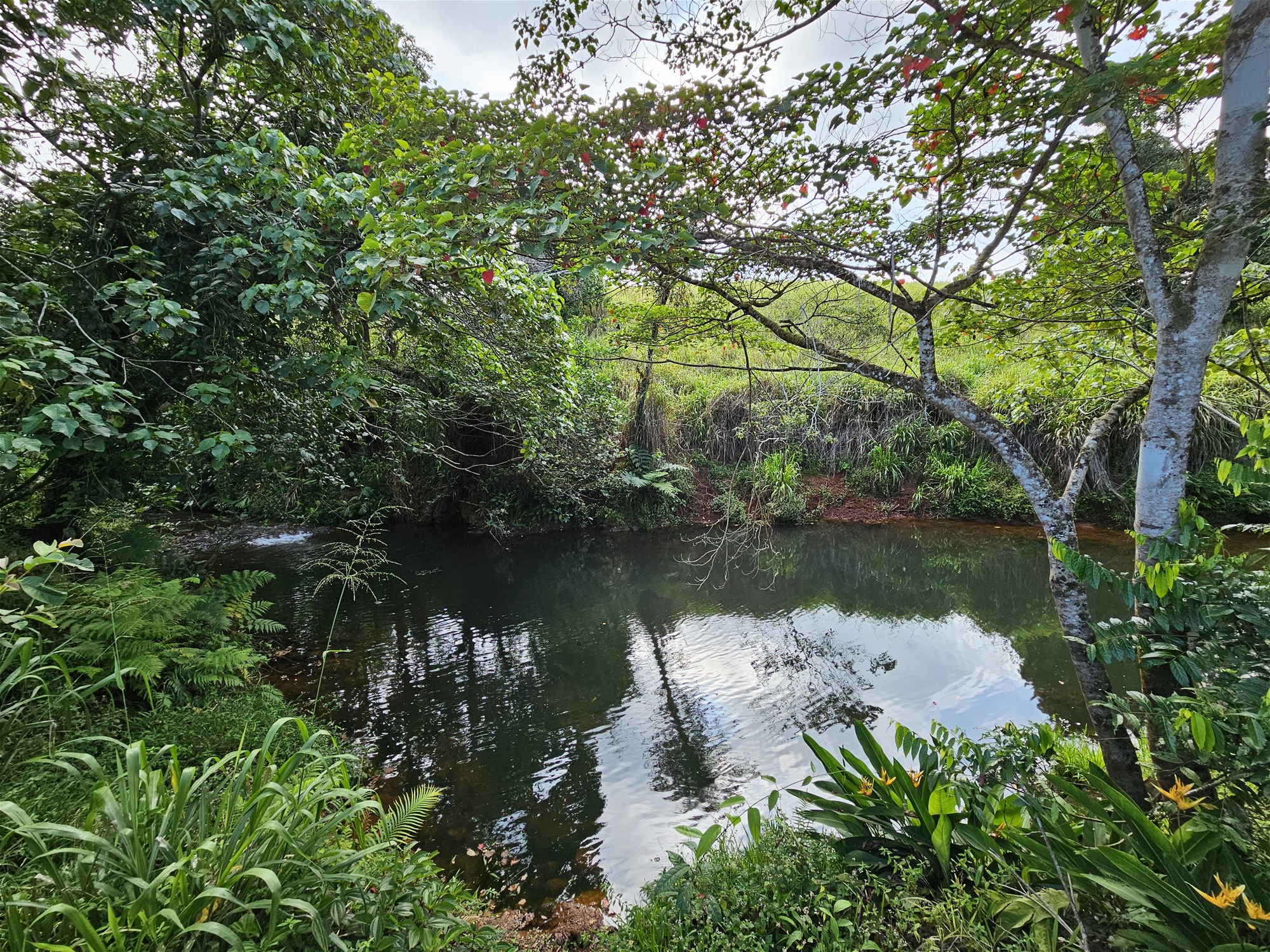 Exceptional Opportunity – Land with 6
