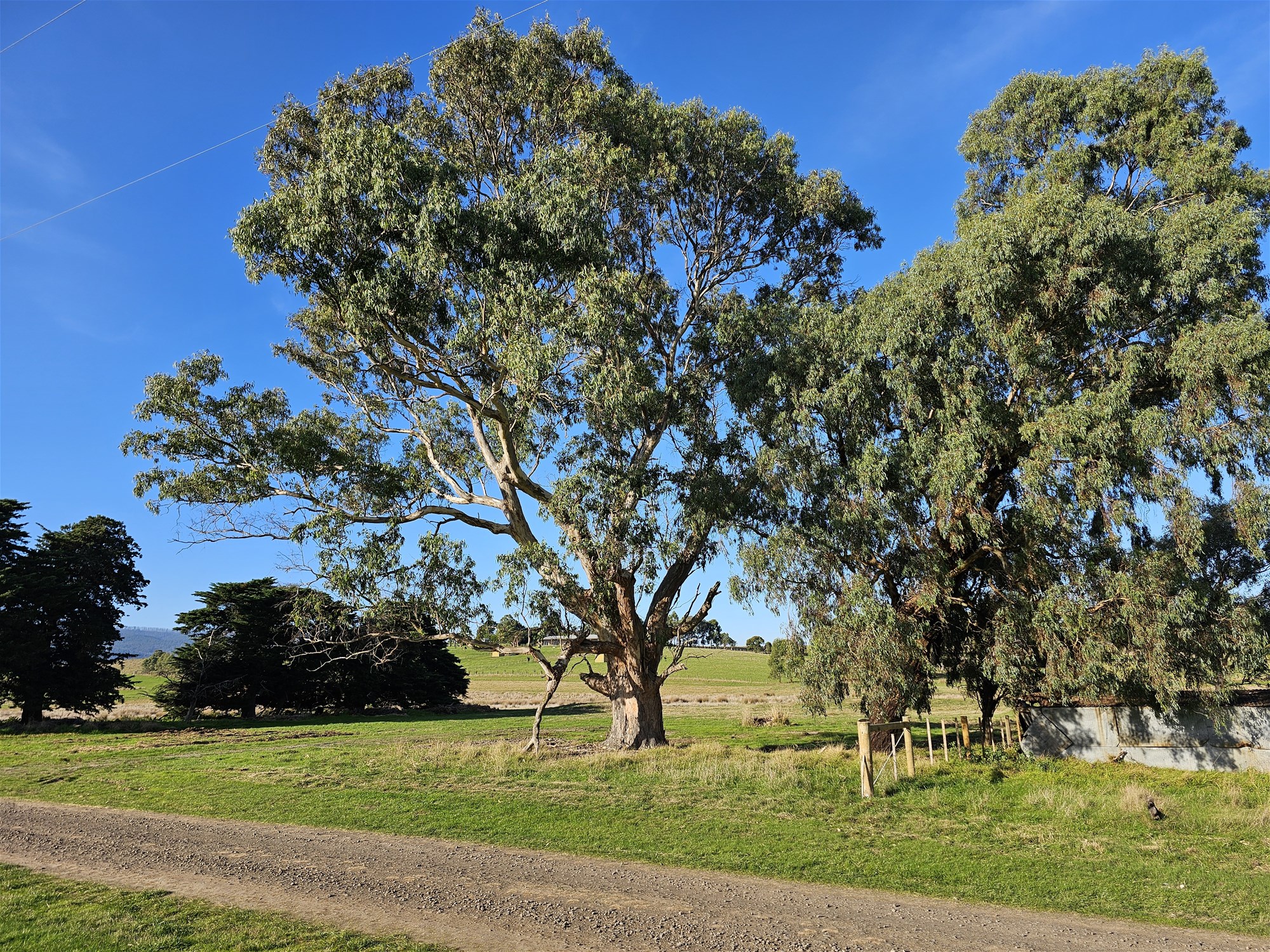 3.63 HA  BEAUTIFUL LIFESTYLE 2