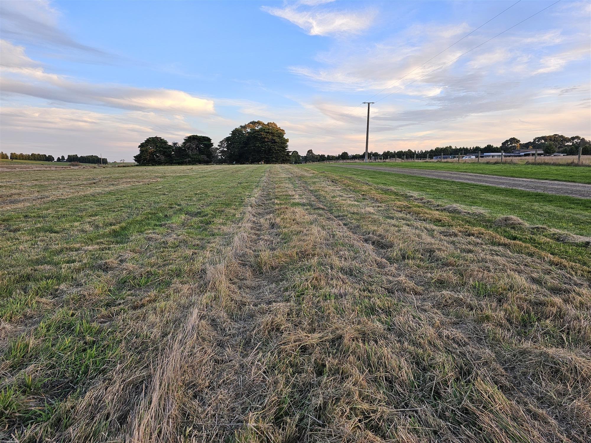 3.63 HA  BEAUTIFUL LIFESTYLE 4