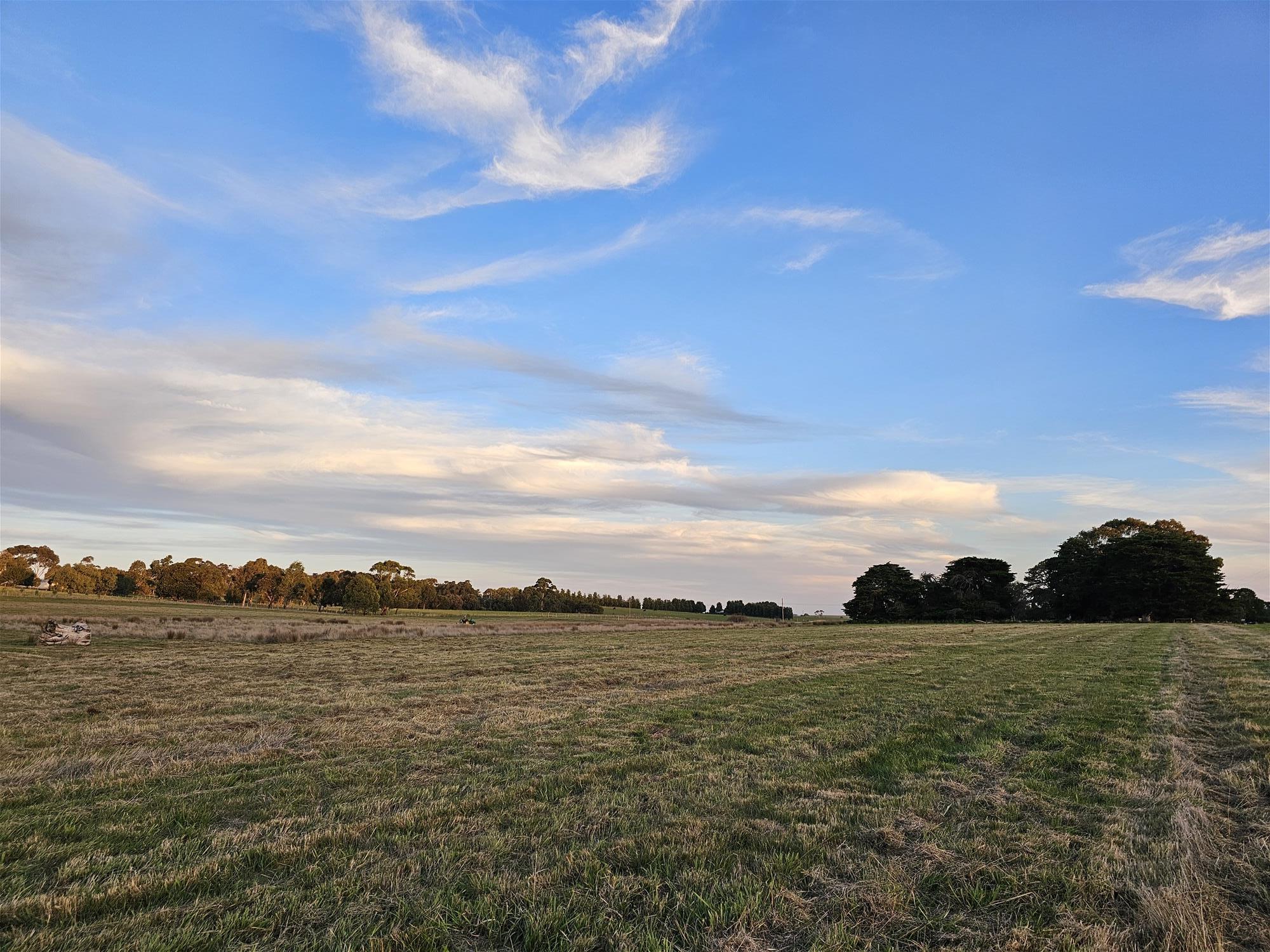 3.63 HA  BEAUTIFUL LIFESTYLE 5