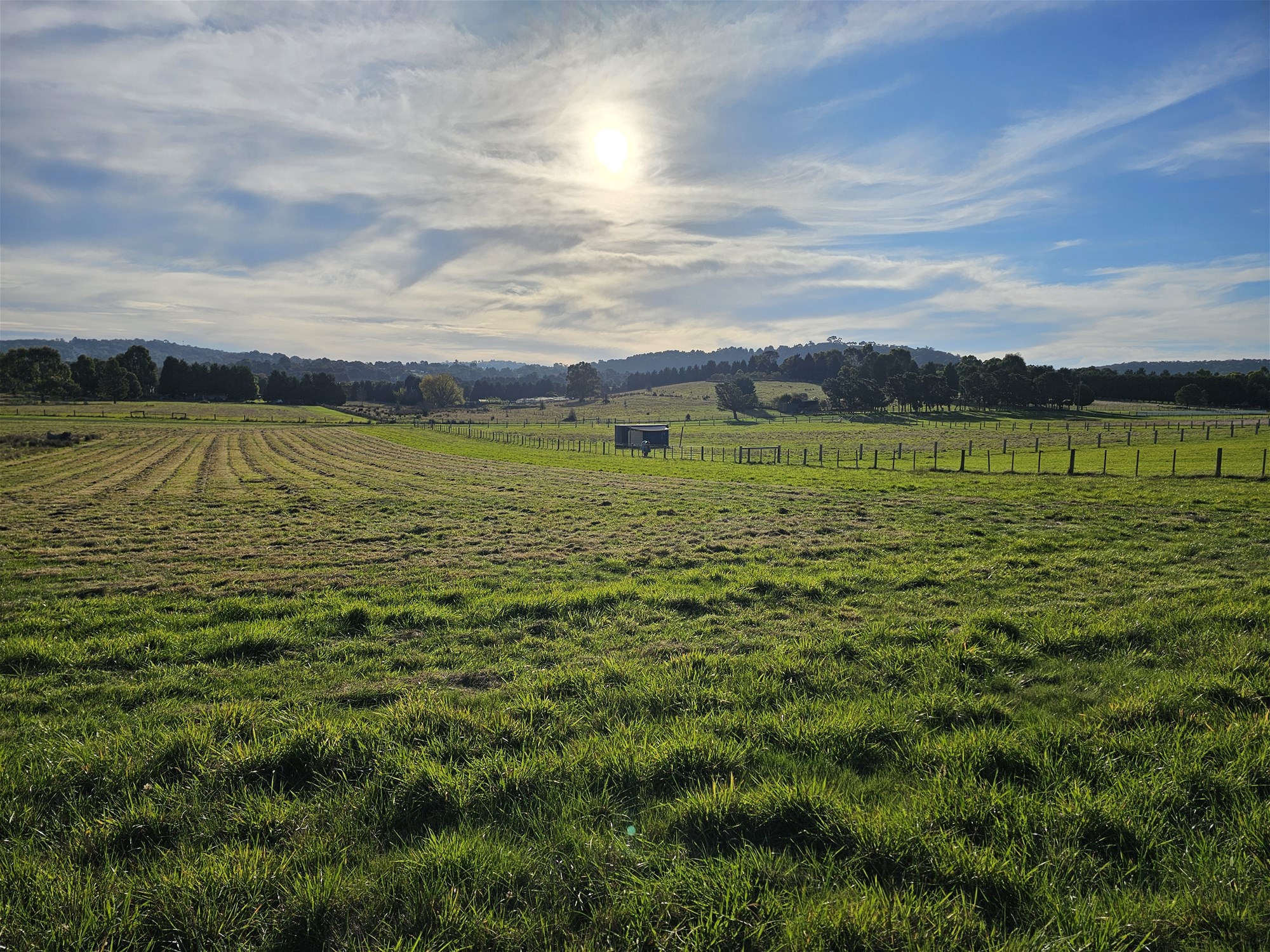 3.63 HA  BEAUTIFUL LIFESTYLE 7