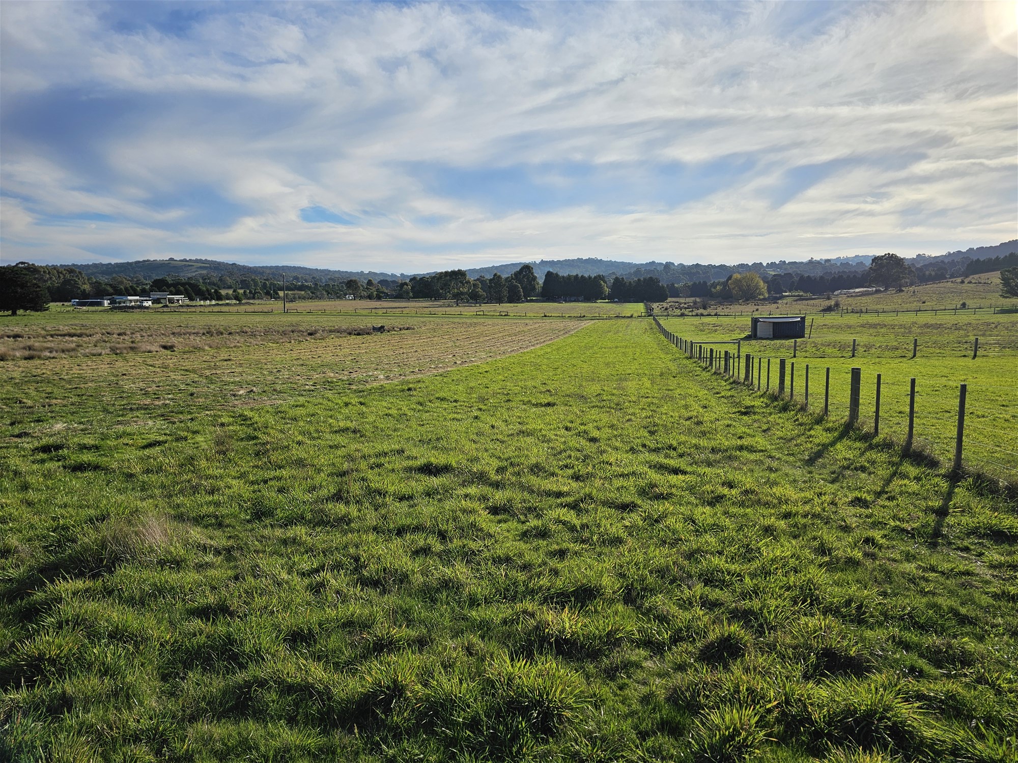 3.63 HA  BEAUTIFUL LIFESTYLE 8