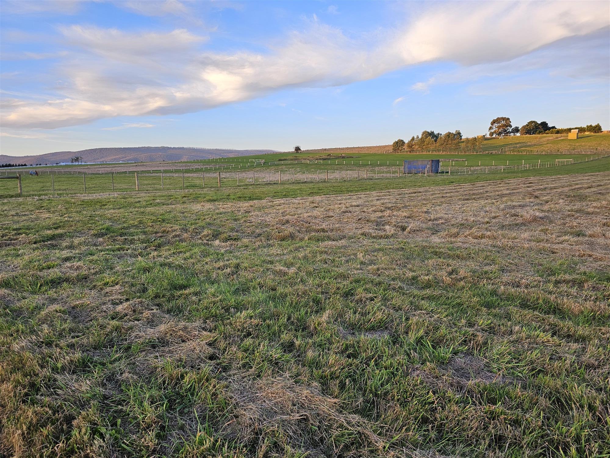 3.63 HA  BEAUTIFUL LIFESTYLE 10