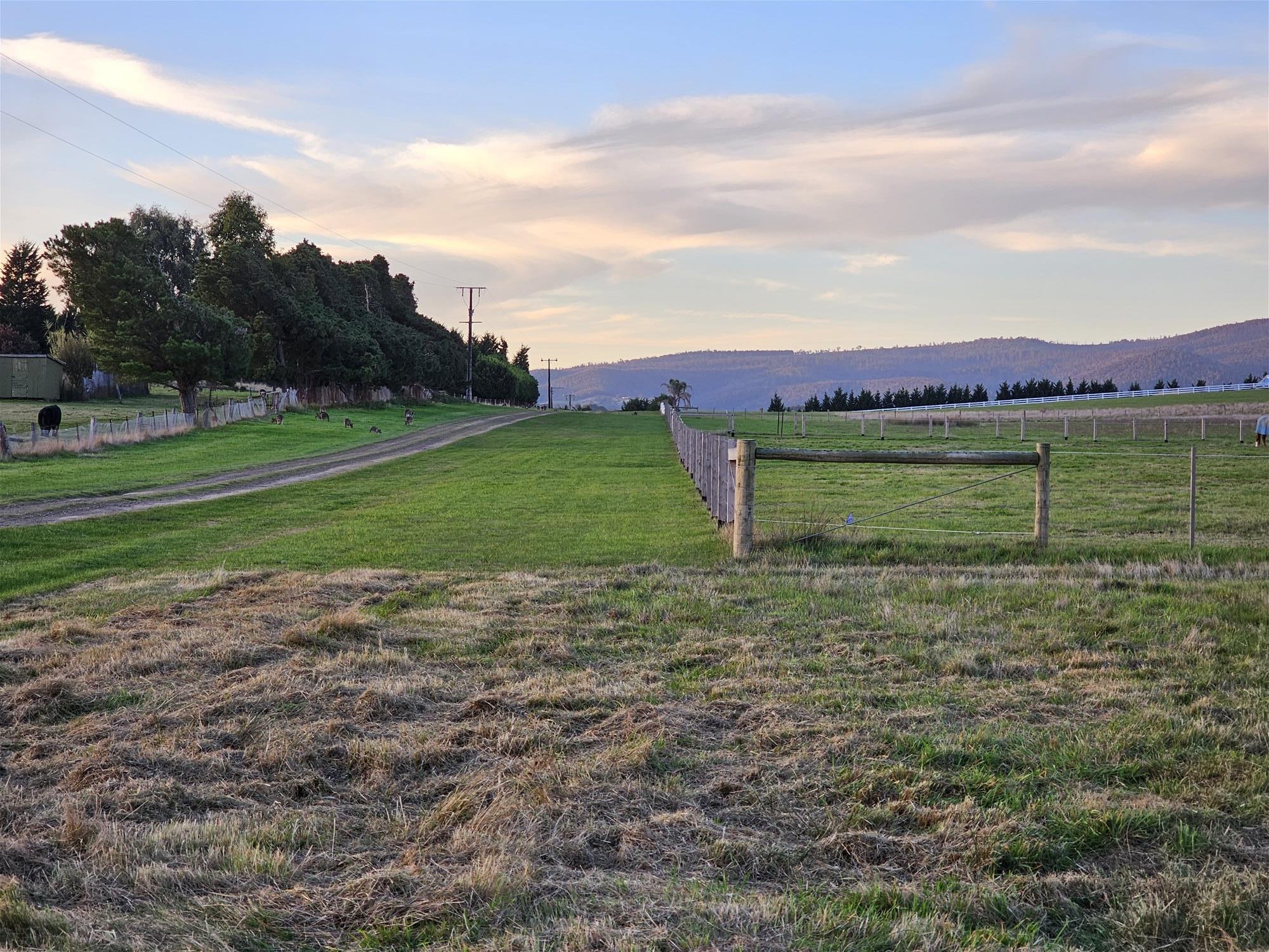 3.63 HA  BEAUTIFUL LIFESTYLE 11