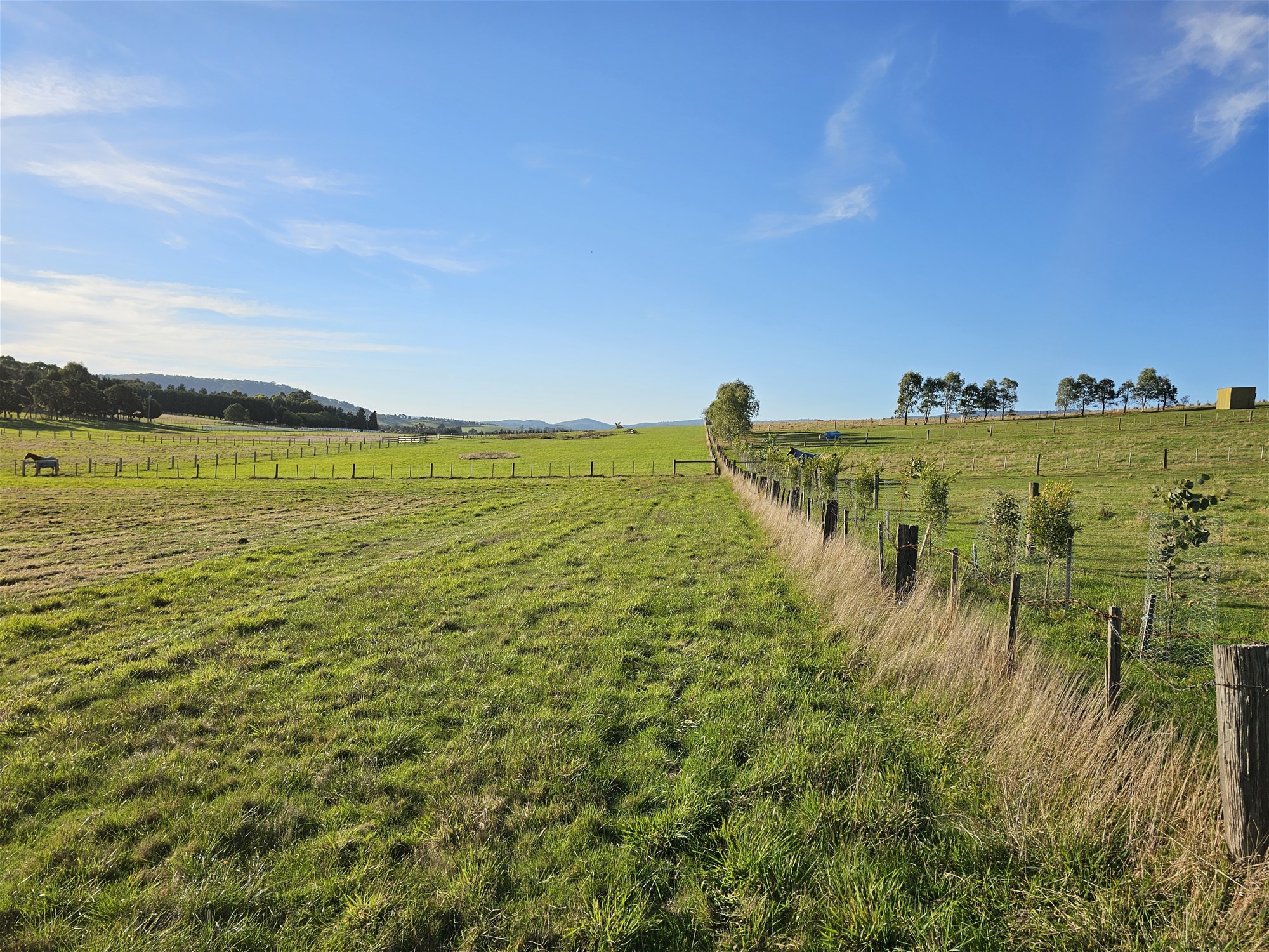 3.63 HA  BEAUTIFUL LIFESTYLE 12