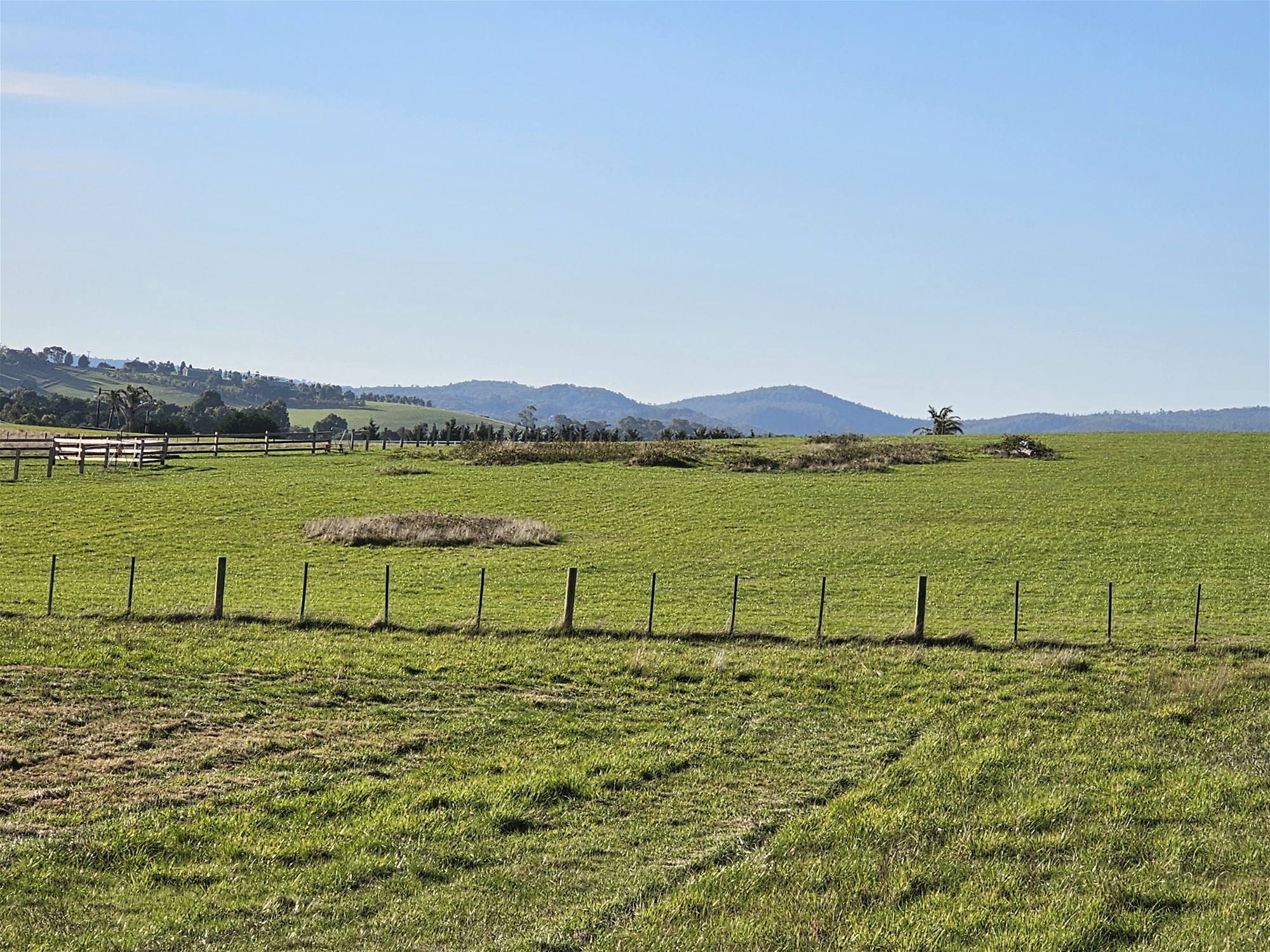 3.63 HA  BEAUTIFUL LIFESTYLE 13