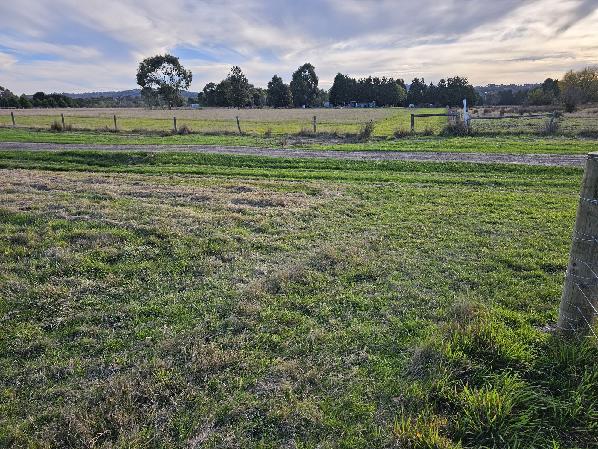 3.63 HA  BEAUTIFUL LIFESTYLE 14