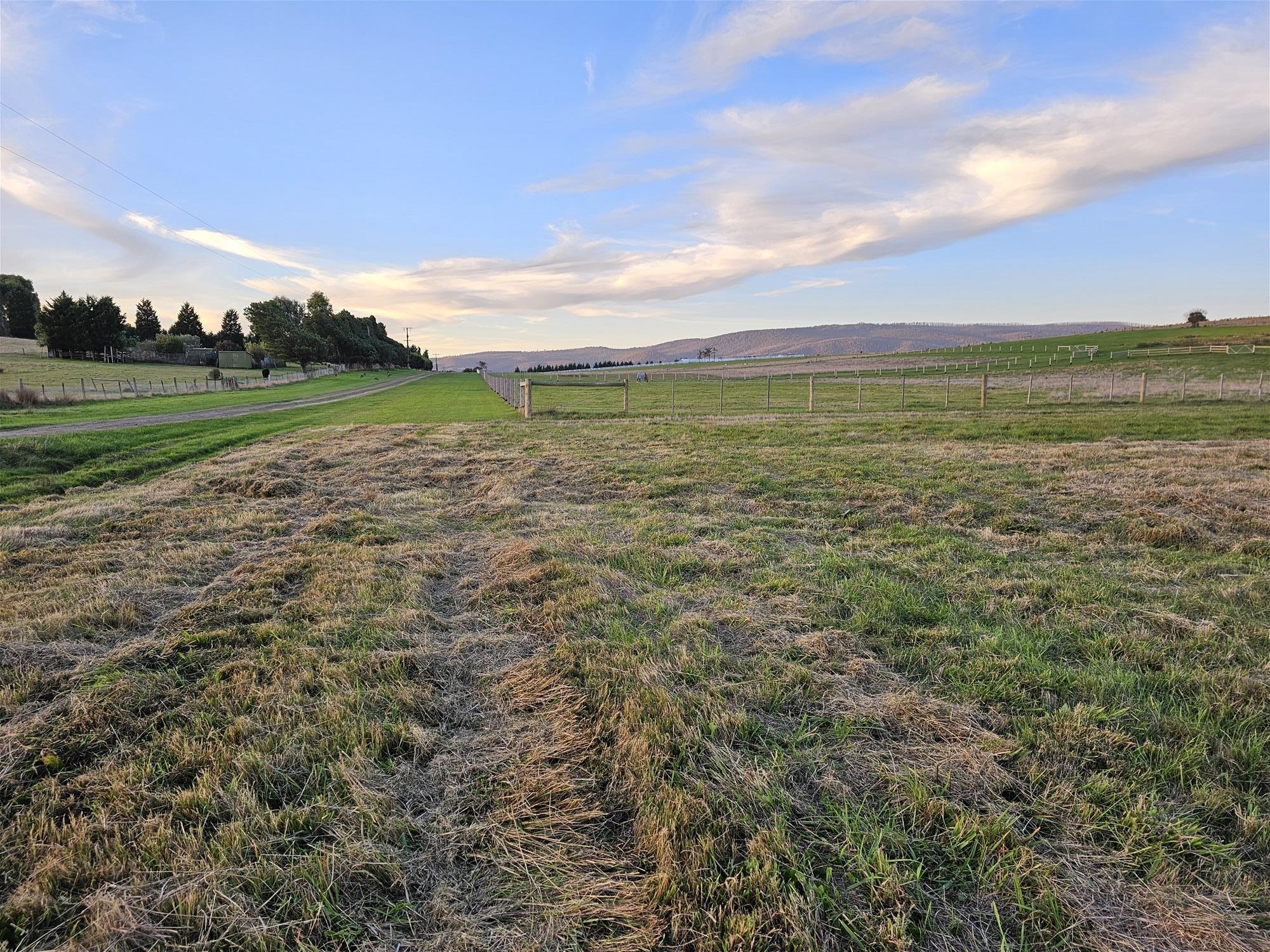 3.63 HA  BEAUTIFUL LIFESTYLE 15
