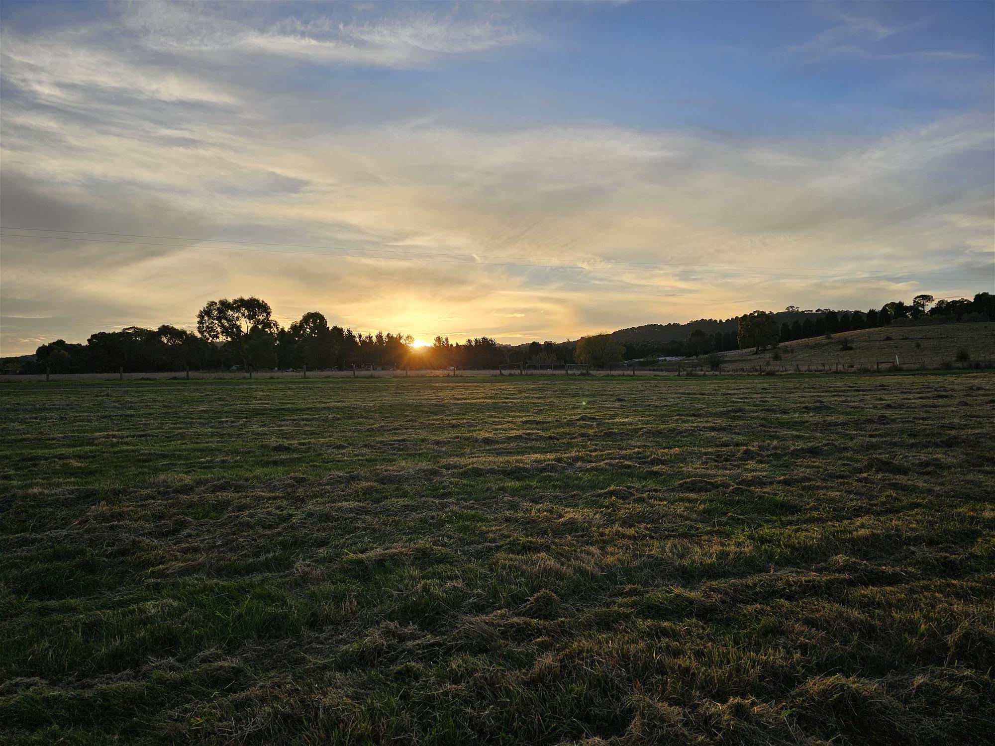 3.63 HA  BEAUTIFUL LIFESTYLE 16