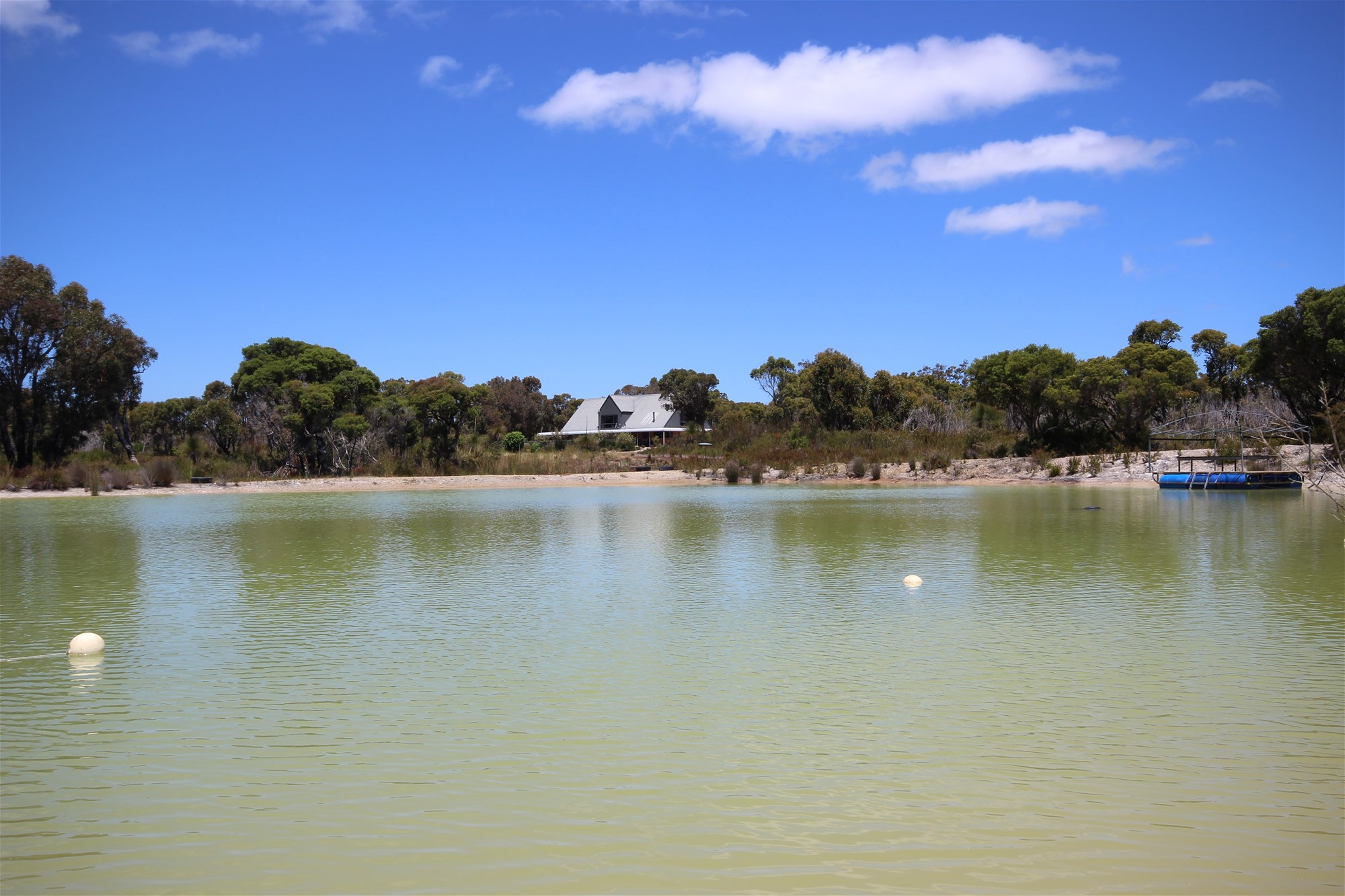 Dream Home on 73.5 Acres 4