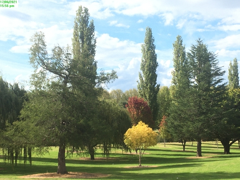 Top Location – Vege Gardens 3