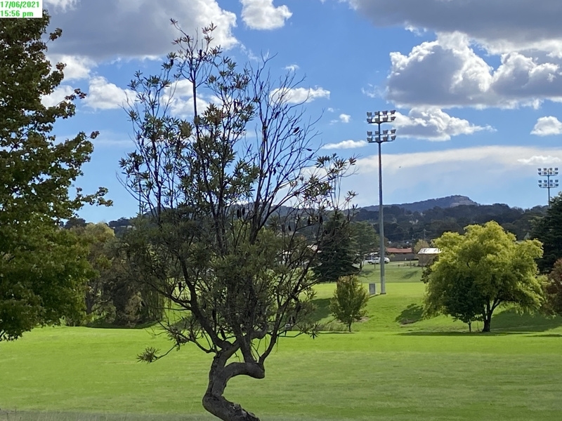 Top Location – Vege Gardens 16