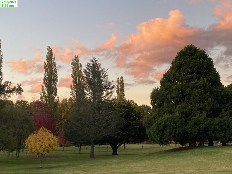 Top Location – Vege Gardens 17