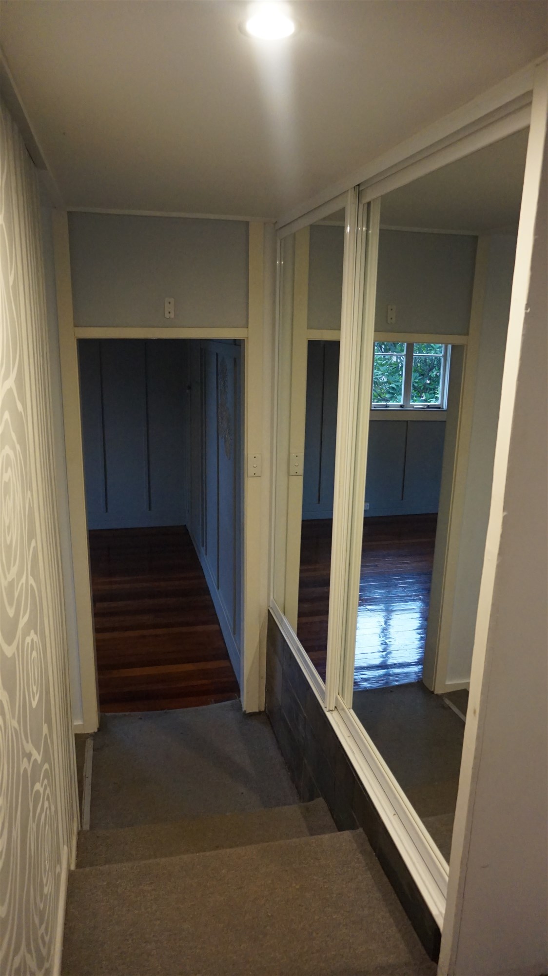 Paddington’s hidden readers paradise, 50m 27