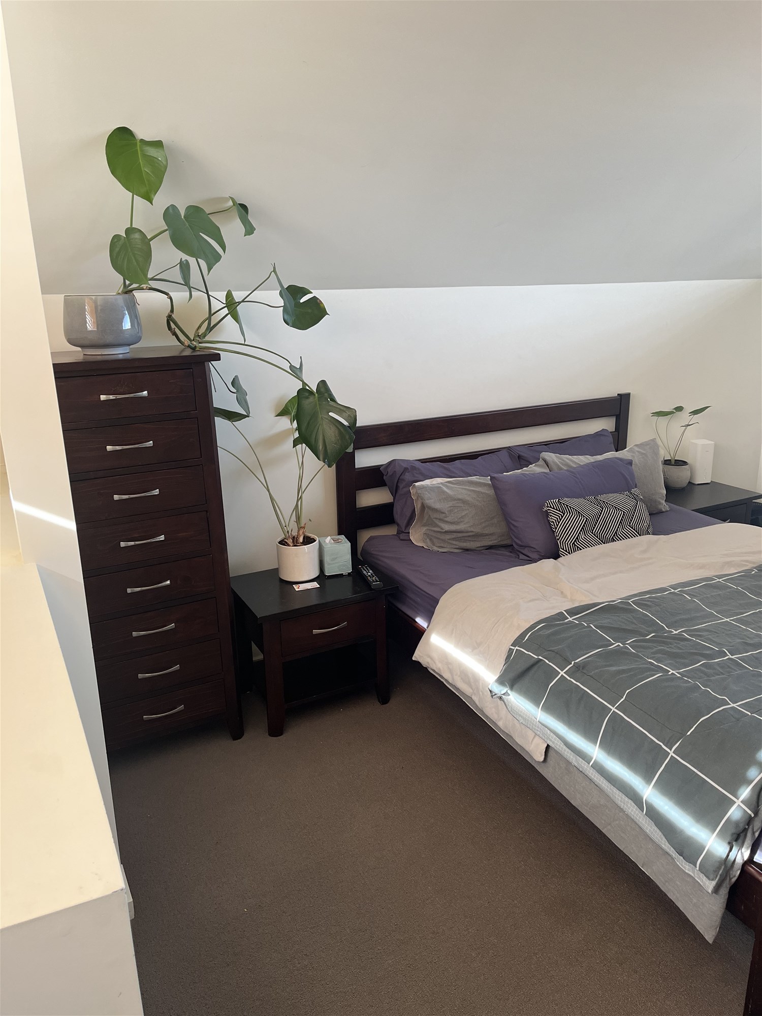 modern loft apartment with tree 5