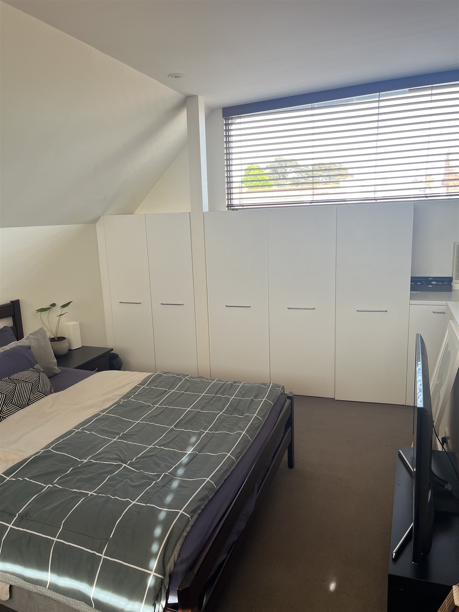 modern loft apartment with tree 6