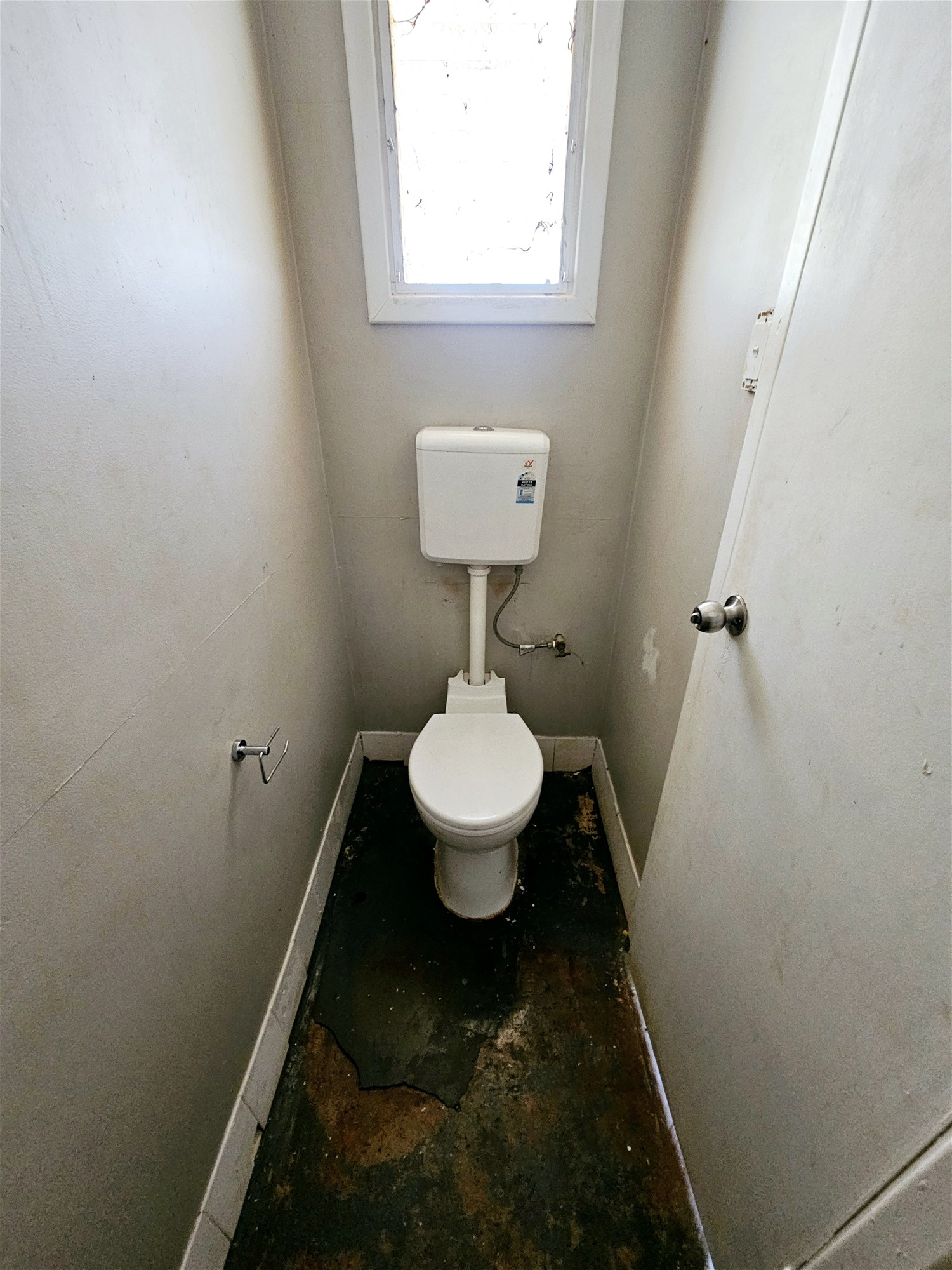 RENTAL AVAILABLE NOW!! 5 Morgans 12