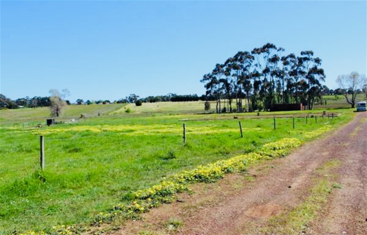 9 Acres land with Services 2