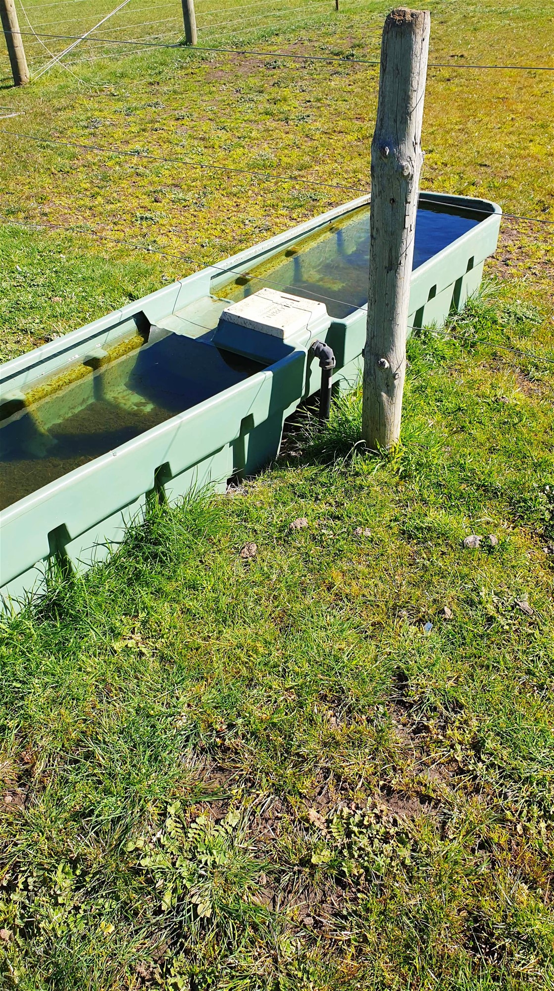 9 Acres land with Services 3