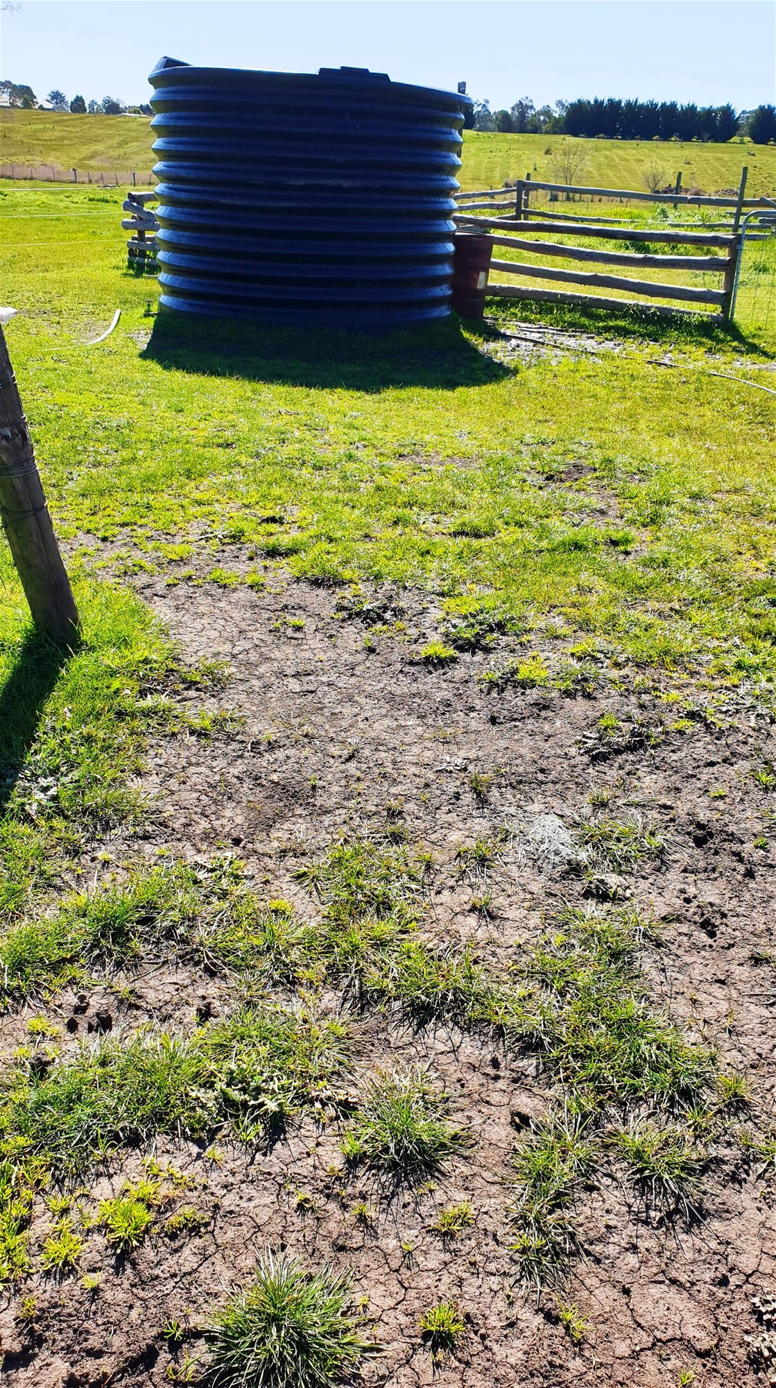 9 Acres land with Services 6
