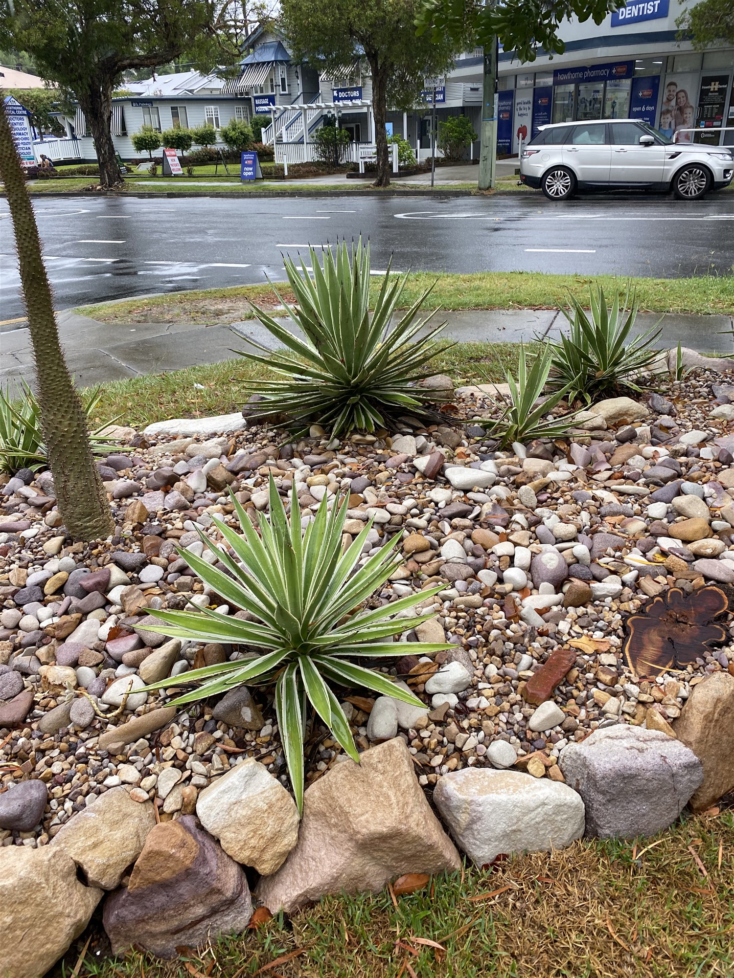 “Stunning Classic 70’s Balmoral Apartment 18