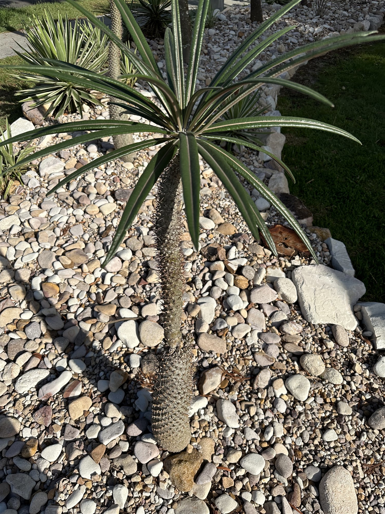 “Stunning Classic 70’s Balmoral Apartment 20