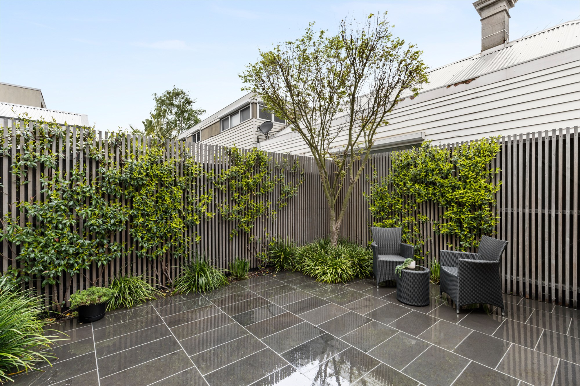 Rent $3500/Week – 3 Months 24